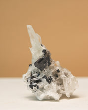 Sm Hubnerite with Quartz 3in