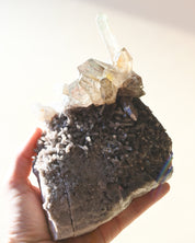 Smoky Quartz Cluster Brazil 6in