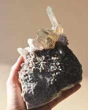 Smoky Quartz Cluster Brazil 6in