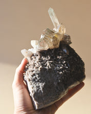 Smoky Quartz Cluster Brazil 6in
