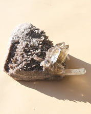 Smoky Quartz Cluster Brazil 6in