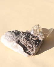 Smoky Quartz Cluster Brazil 6in