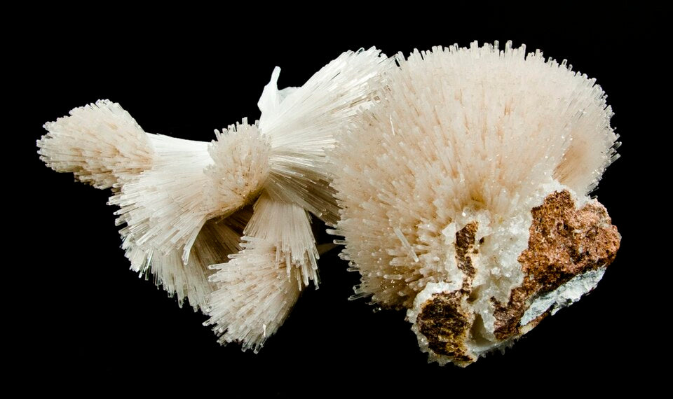 Scolecite crystal — White, colorless specimen, Monoclinic crystal system