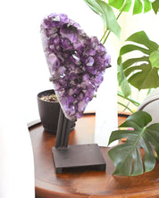 Statement Amethyst Geode | 33lbs