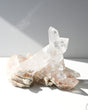 Brazilian Clear Quartz Cluster 4.3lbs-
