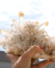 Statement Mango Quartz Lemurian Cluster – Colombia