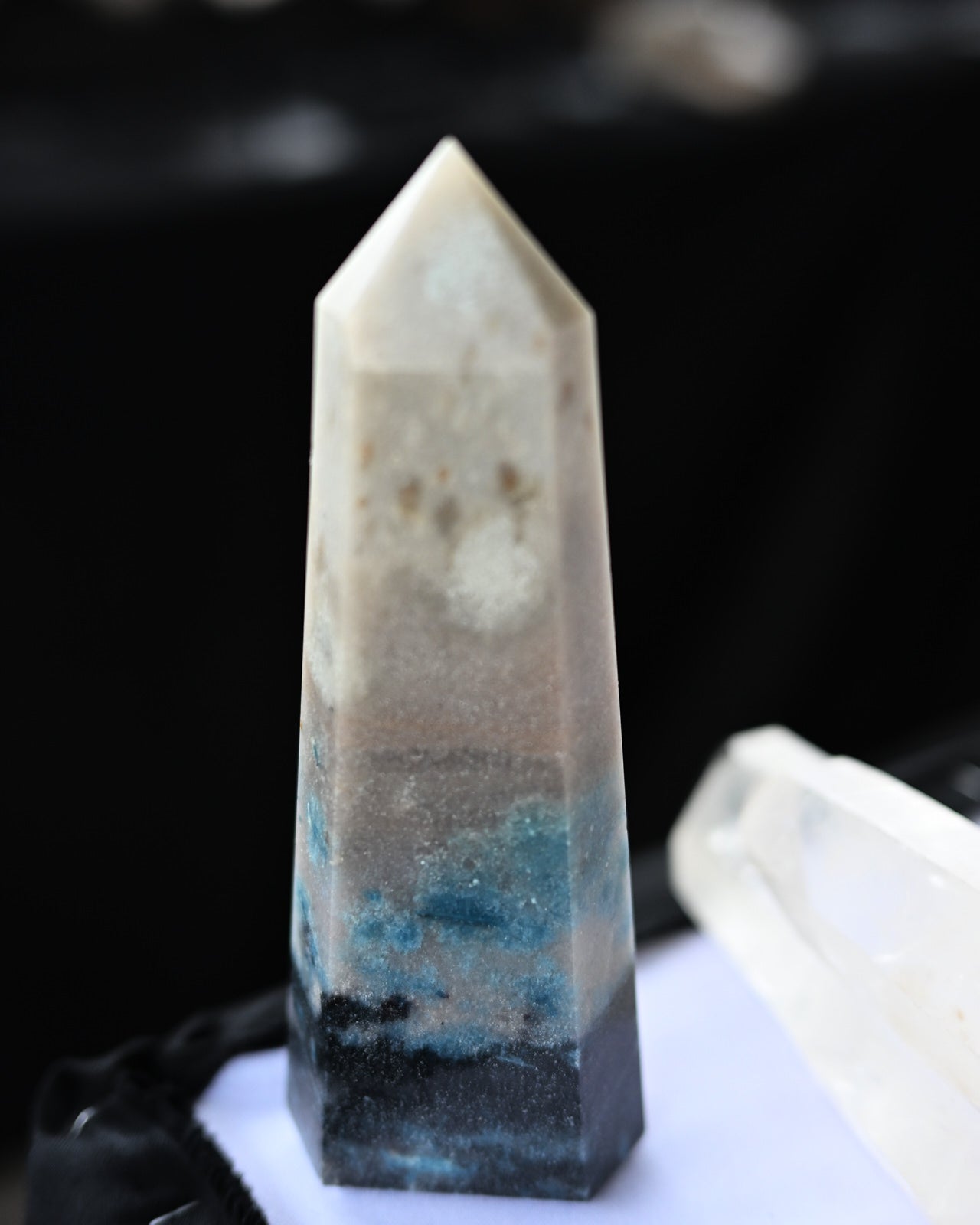 DSC_0905.jpg