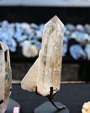 Natural Smoky Quartz Point on Stand
