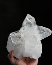 Clear Quartz Cluster