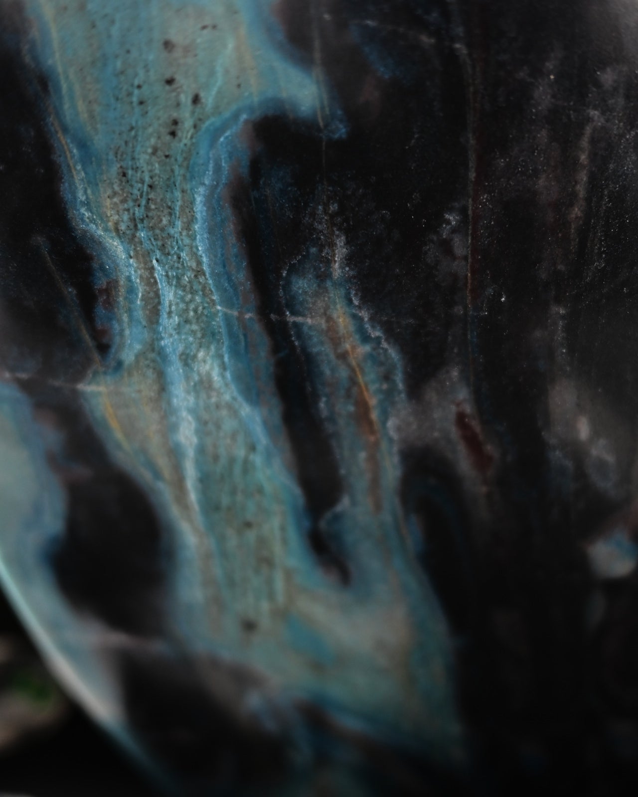 DSC_0982.jpg