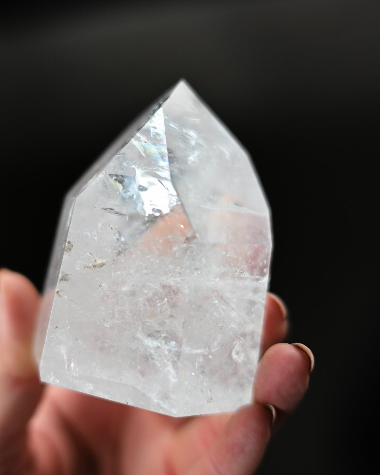 DSC_1006.jpg