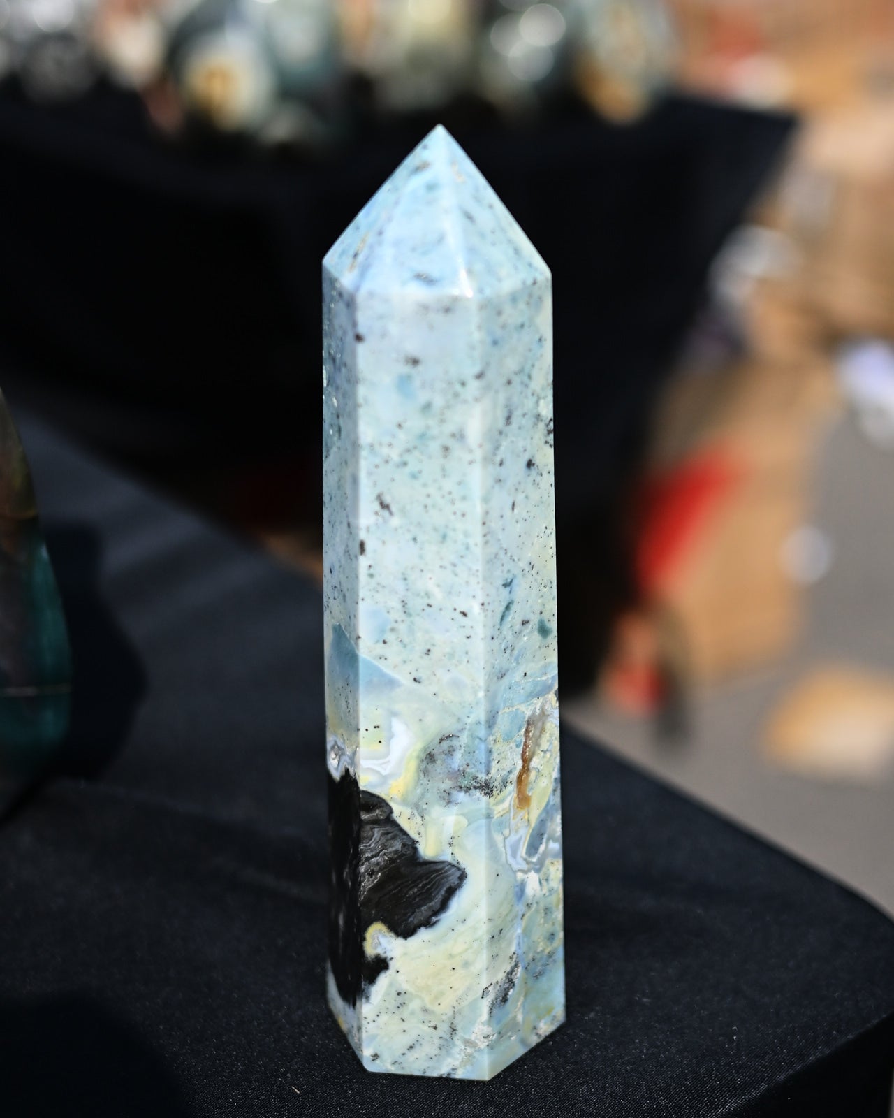 DSC_1378.jpg
