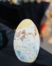 Ocean Jasper Freeform 5.5lbs