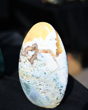 Ocean Jasper Freeform 5.5lbs