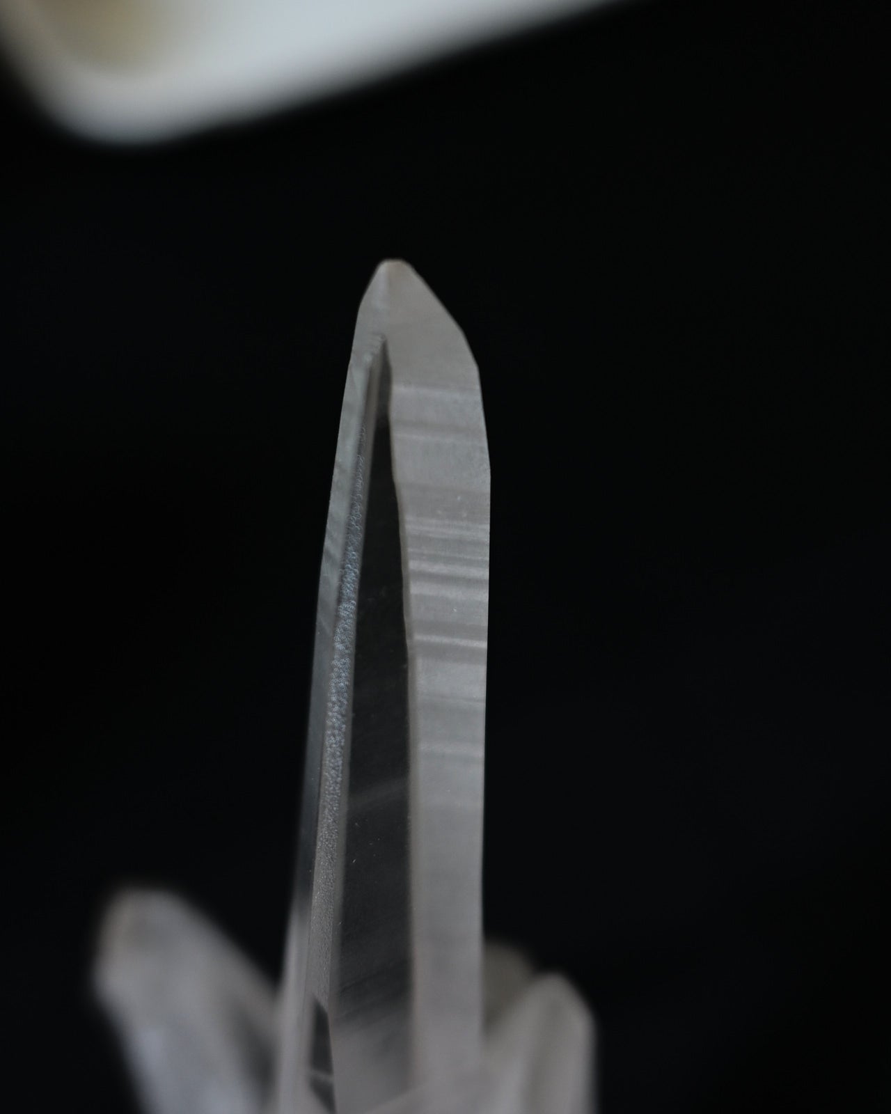 DSC_1533.jpg