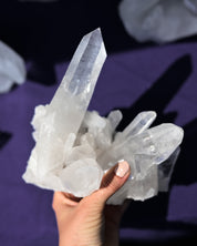Clear Quartz Cluster 3.5lbs