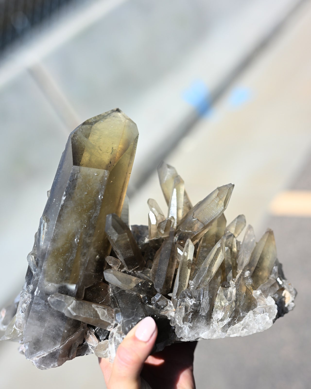 Rare Smoky Lemurian Cluster 7lb