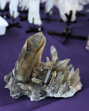 Rare Smoky Lemurian Cluster 7lb