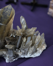 Rare Smoky Lemurian Cluster 7lb