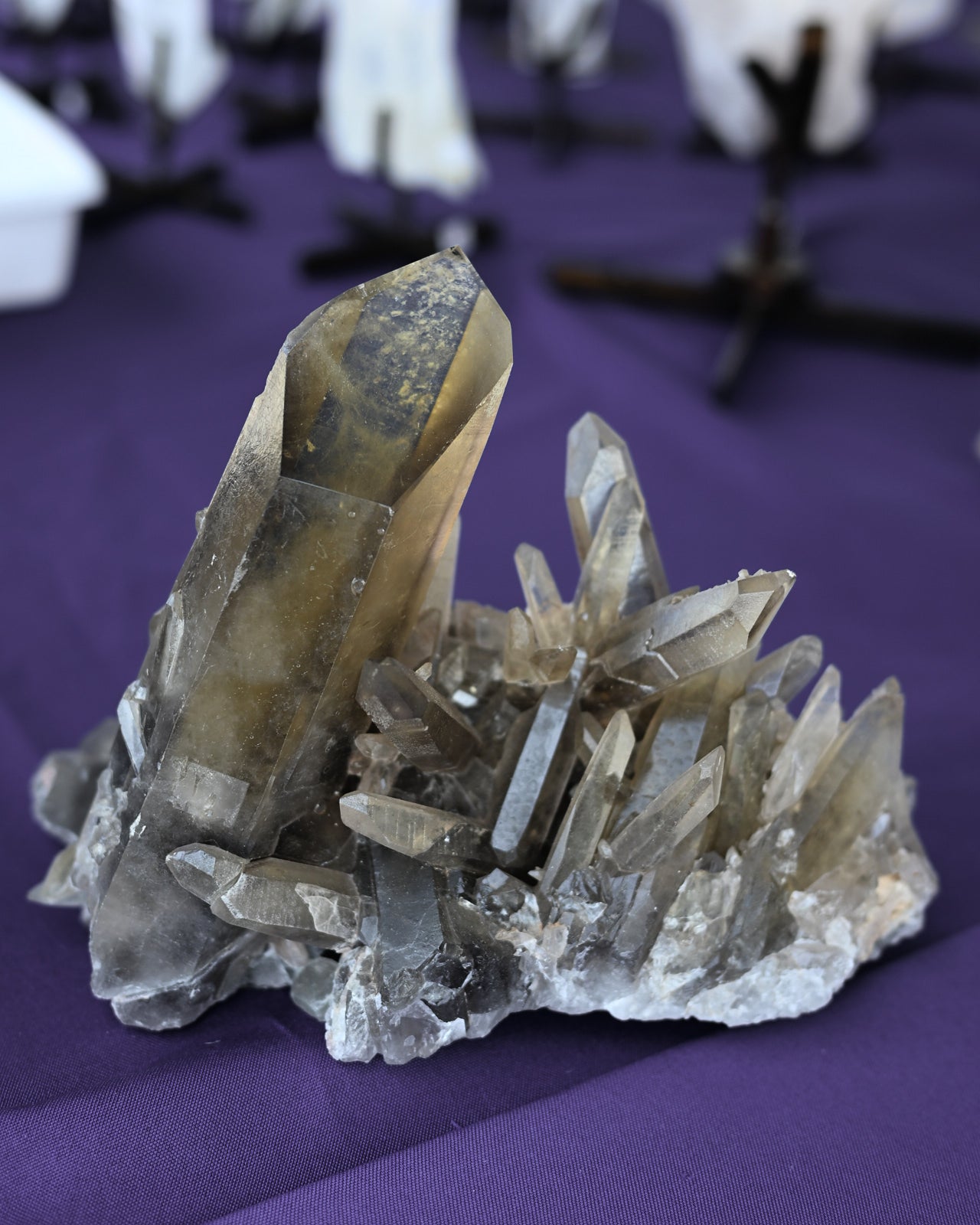 Rare Smoky Lemurian Cluster 7lb