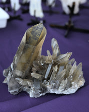 Rare Smoky Lemurian Cluster 7lb