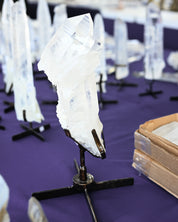 Clear Quartz Cluster on Stand III