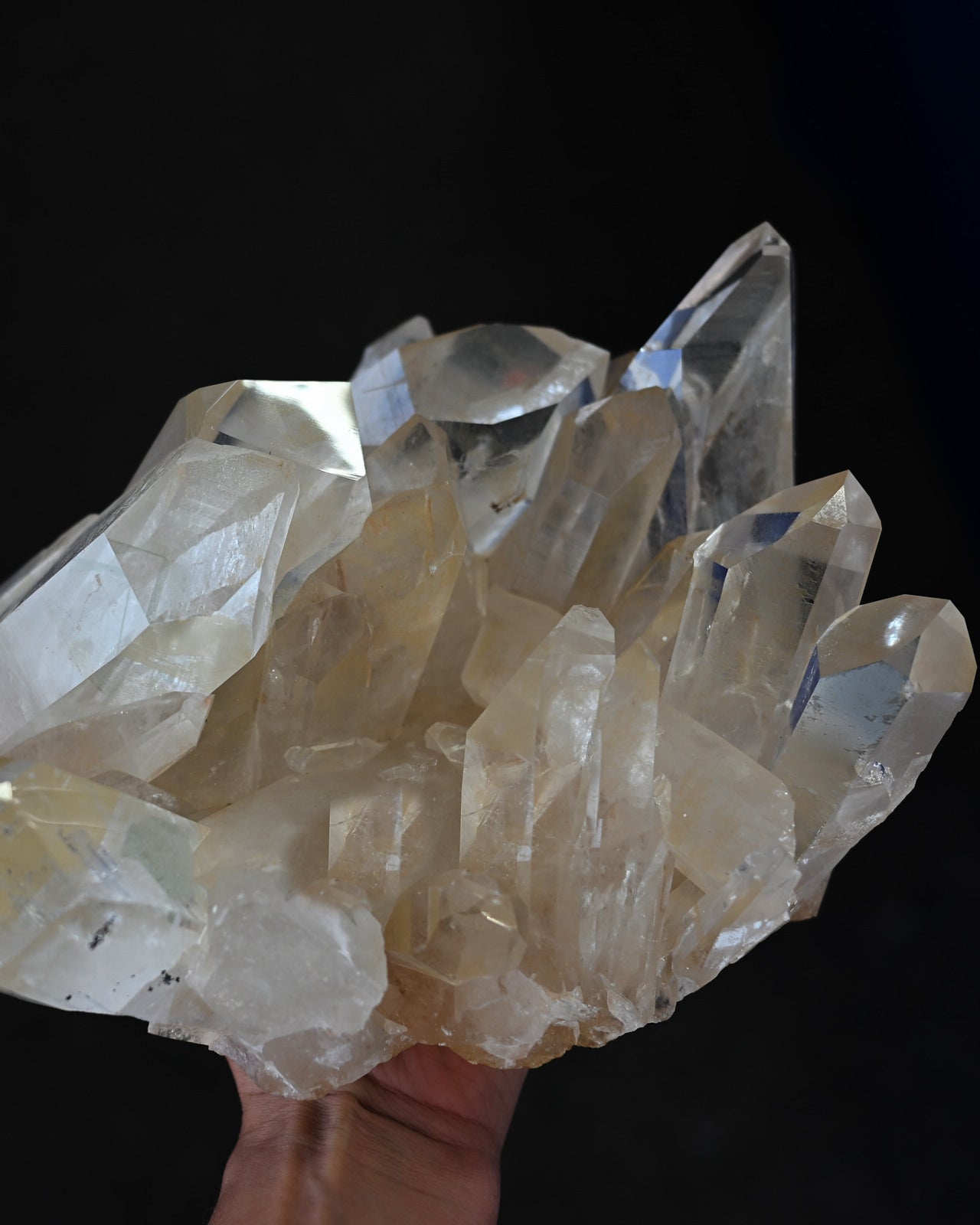 DSC_1705.jpg