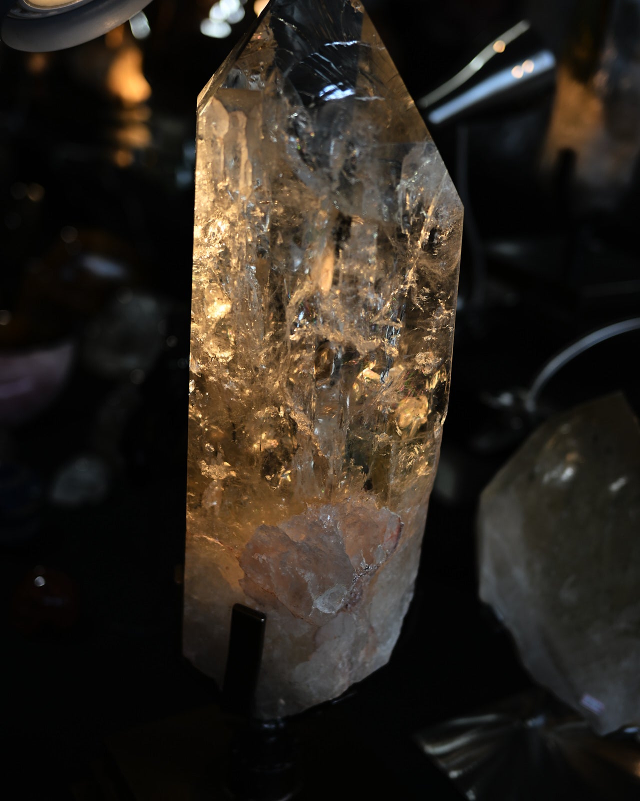 DSC_1862.jpg