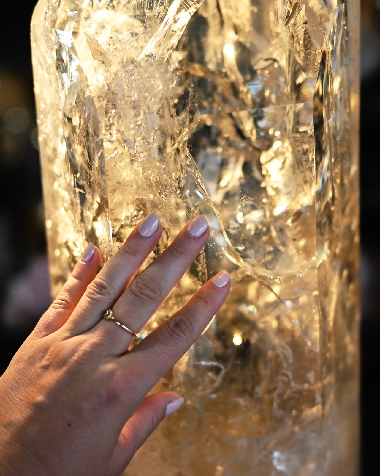 DSC_1866.jpg