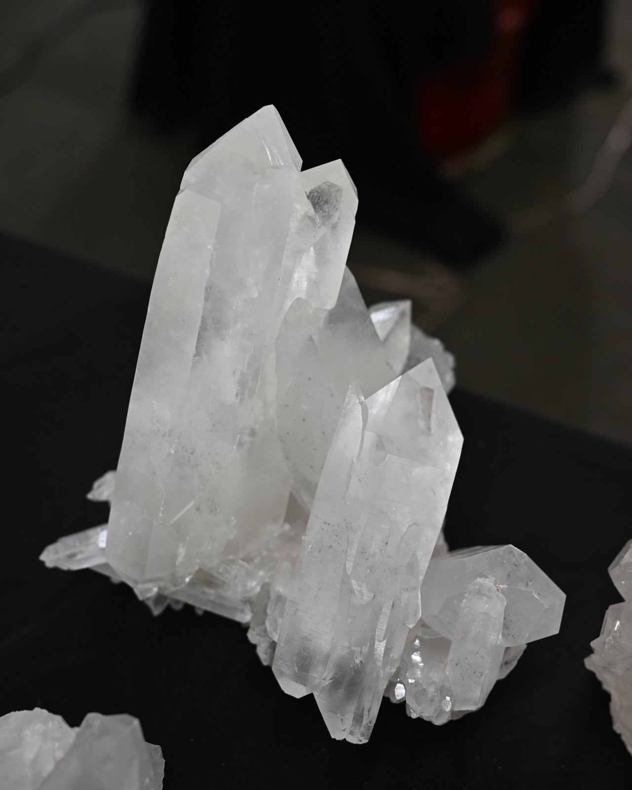 DSC_1882.jpg