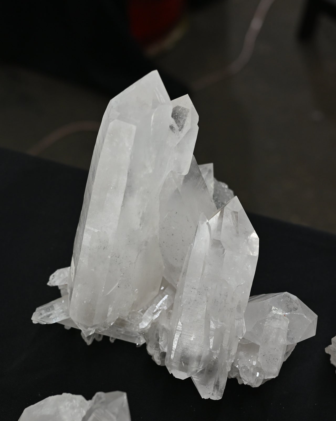 DSC_1891.jpg