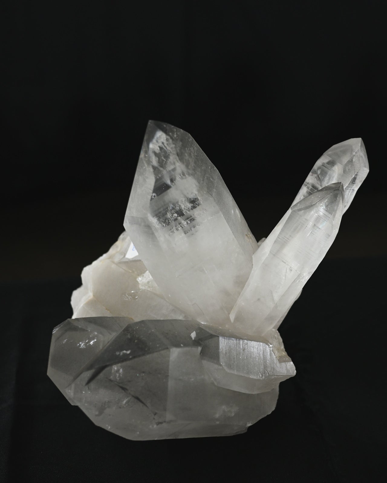 DSC_1894.jpg