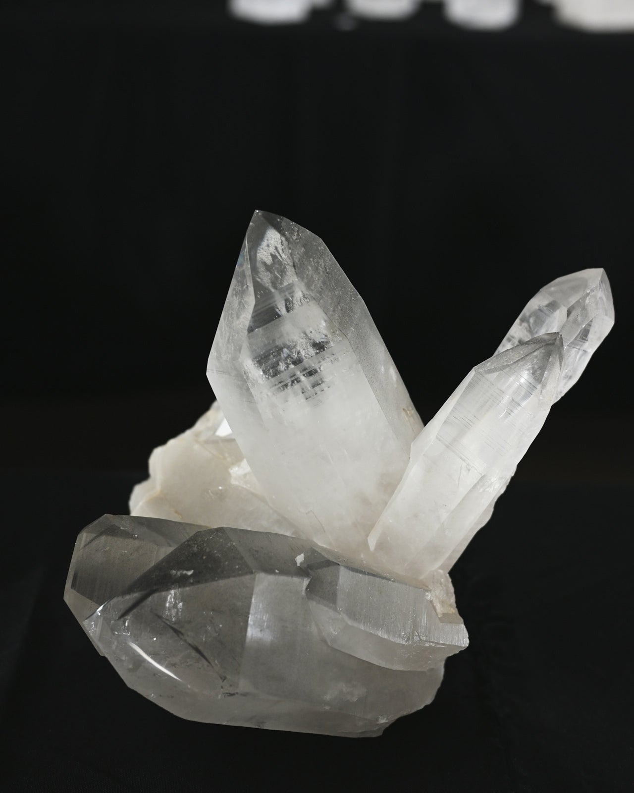 DSC_1895.jpg