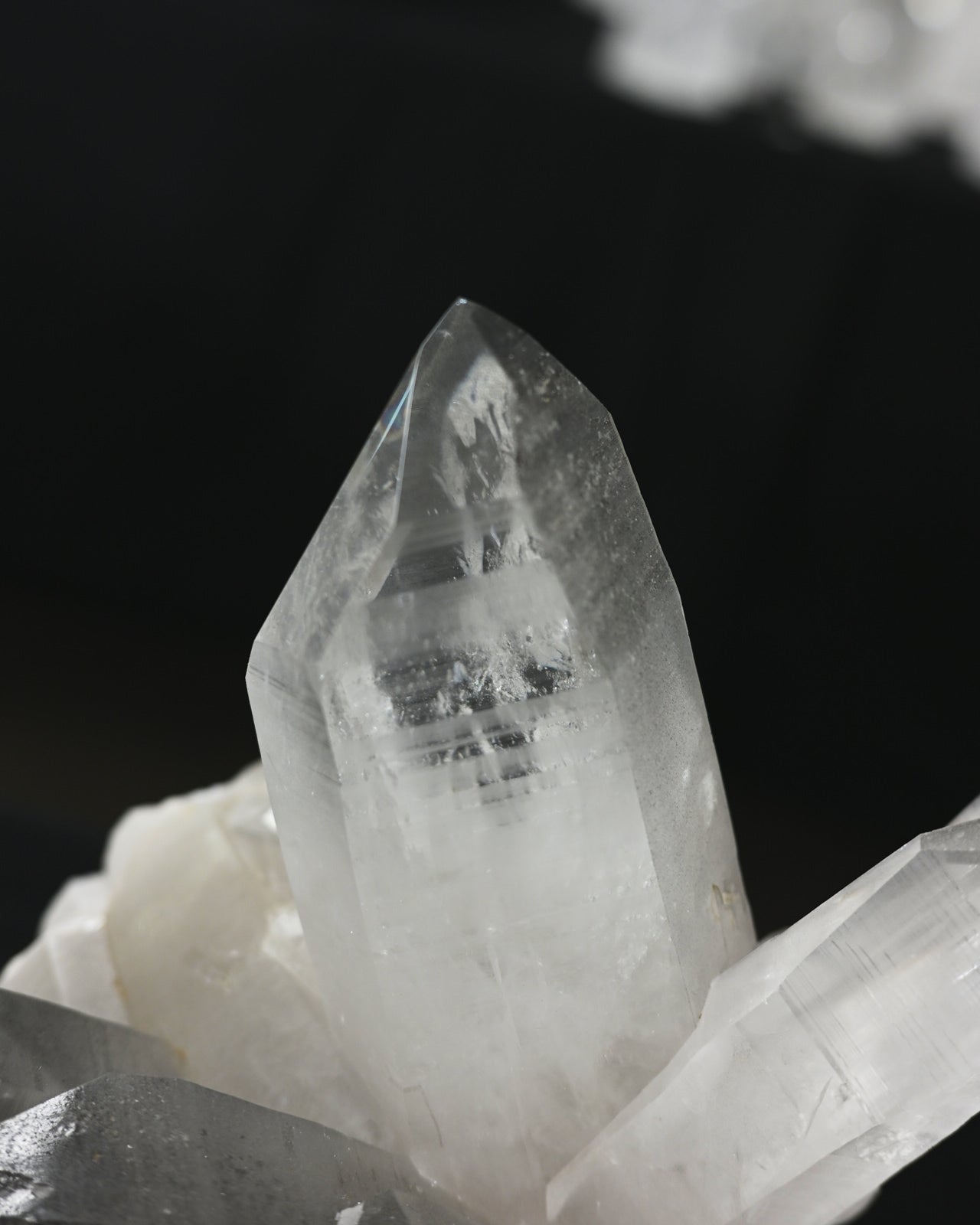 DSC_1897.jpg