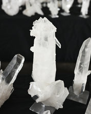 14lb Lemurian Quartz Cluster on Stand