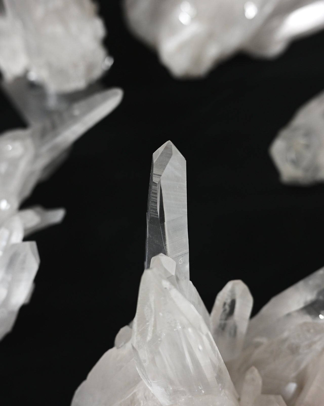 14.5lb Lemurian Quartz Cluster