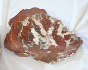 Rare Red Petrified Wood Slab 2.6lbs