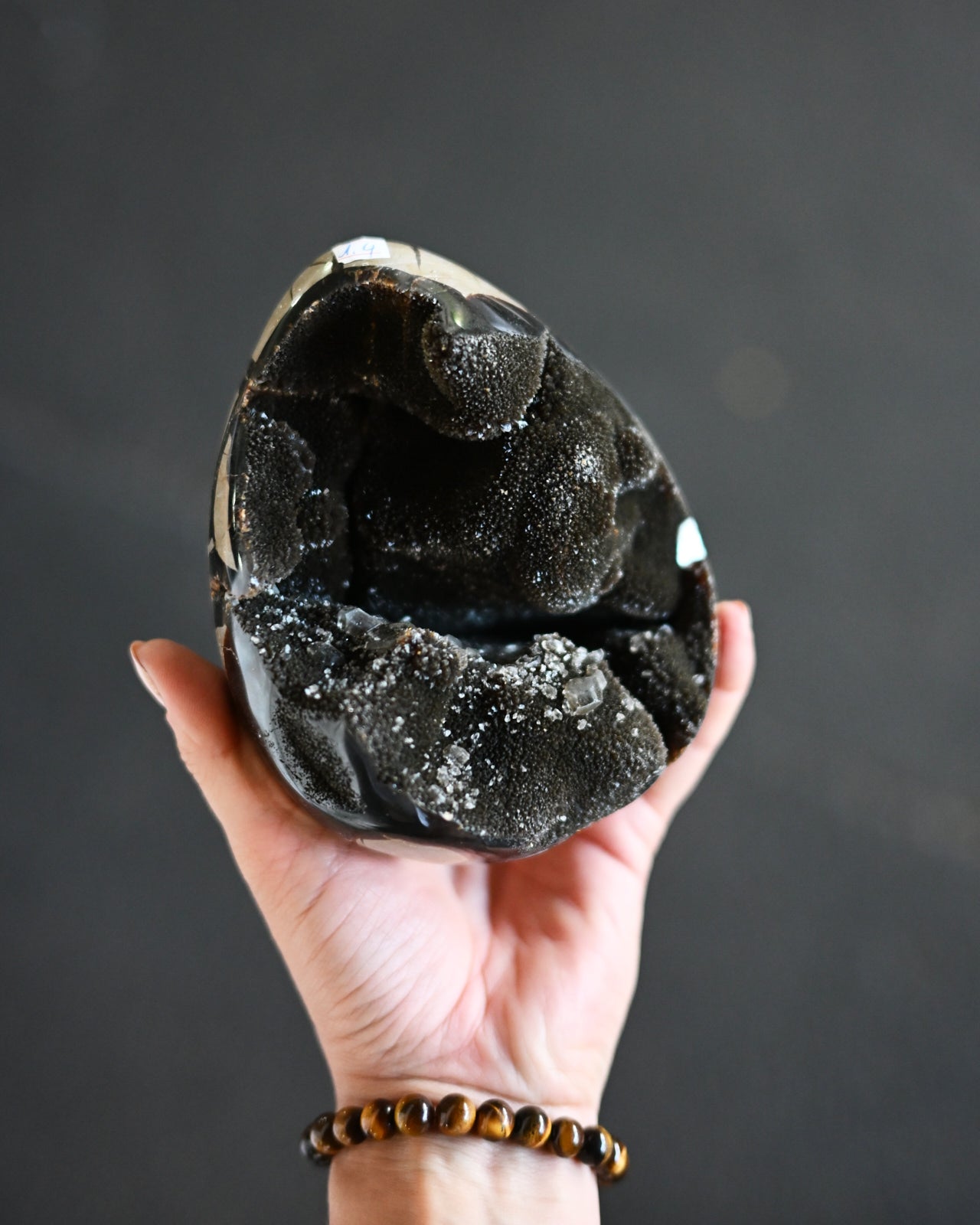 Septarian w Quartz Dragon Egg 3lbs