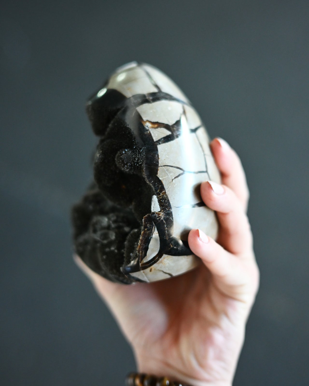 Septarian w Quartz Dragon Egg 3lbs