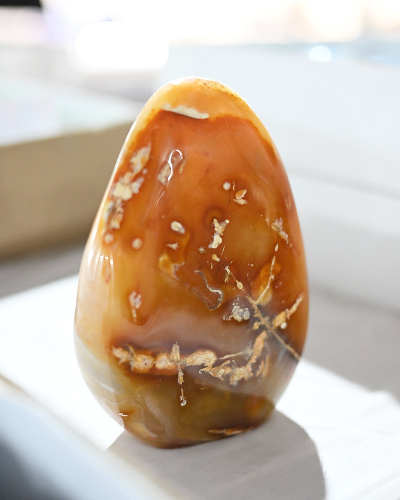 Carnelian Freeform