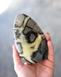 Septarian Polished Freeform