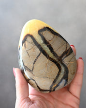 Septarian freeform back view natural pattern