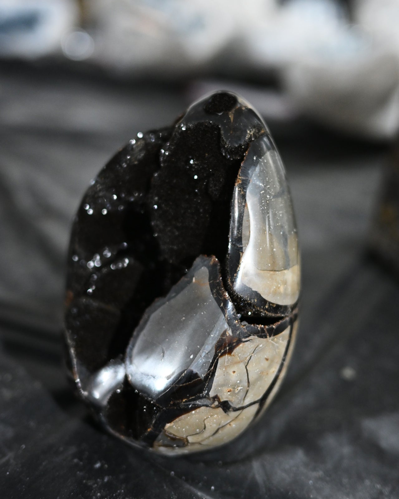 Septarian Dragon Egg 5.7lbs