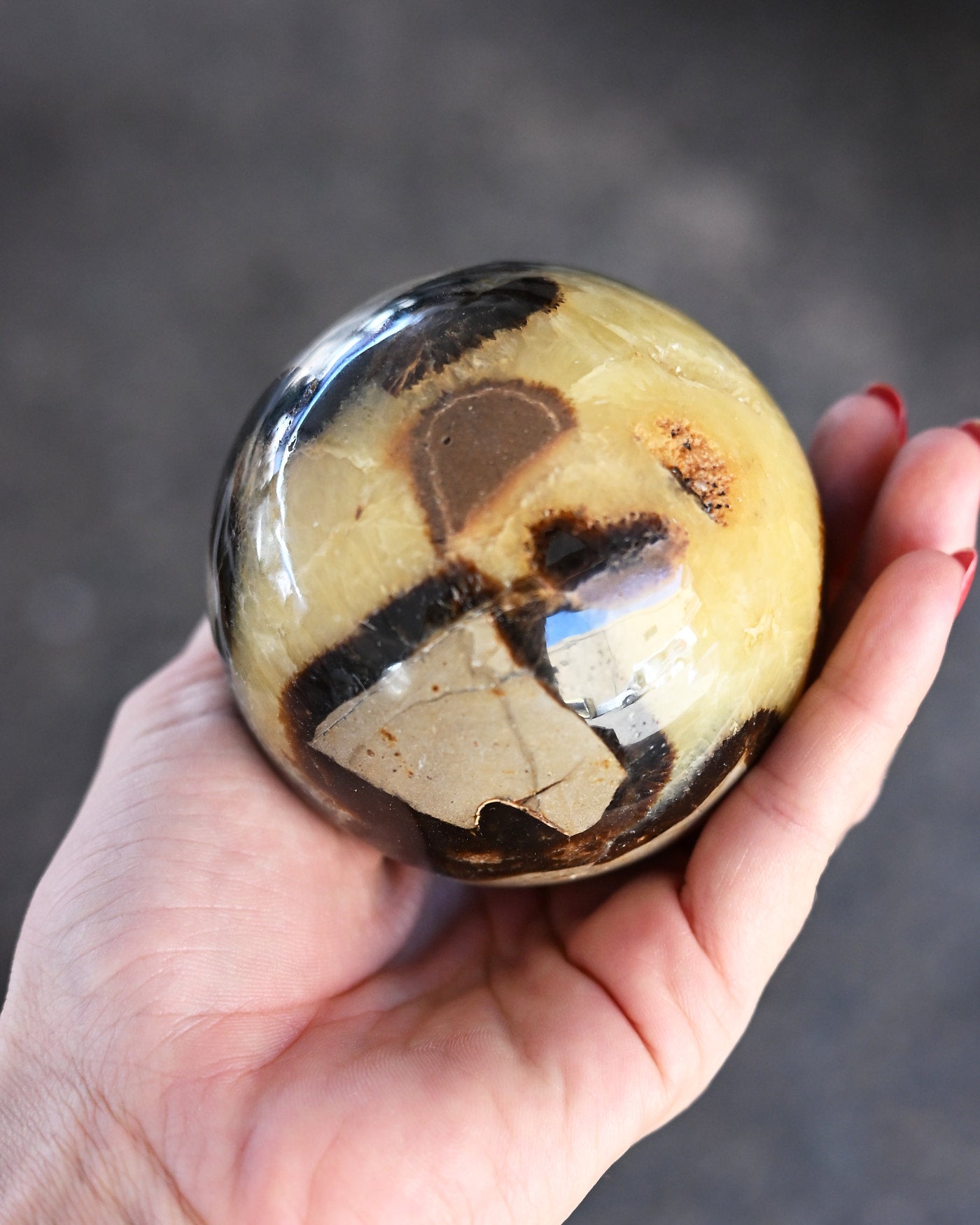 Septarian sphere back view calcite pattern