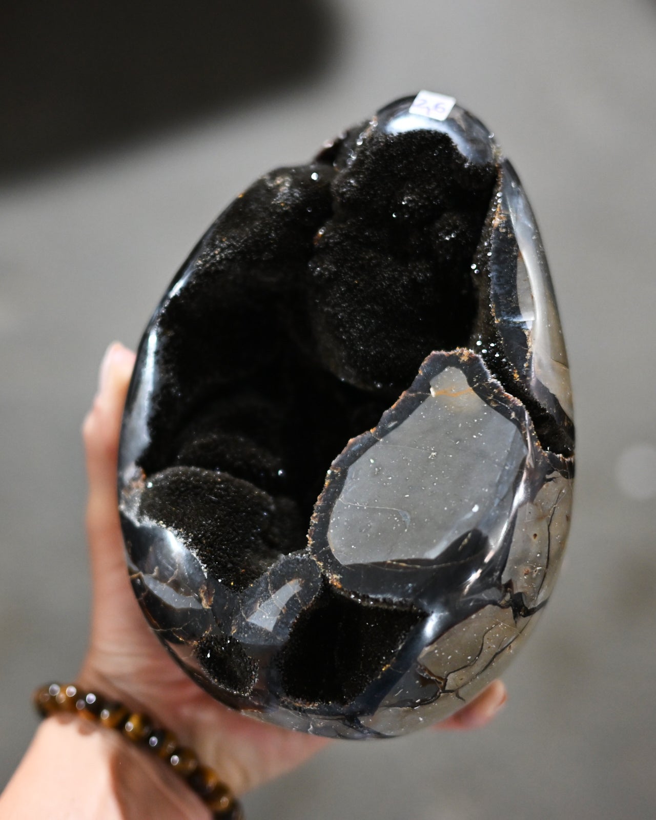 Rainbow Obsidian Freefrom XL