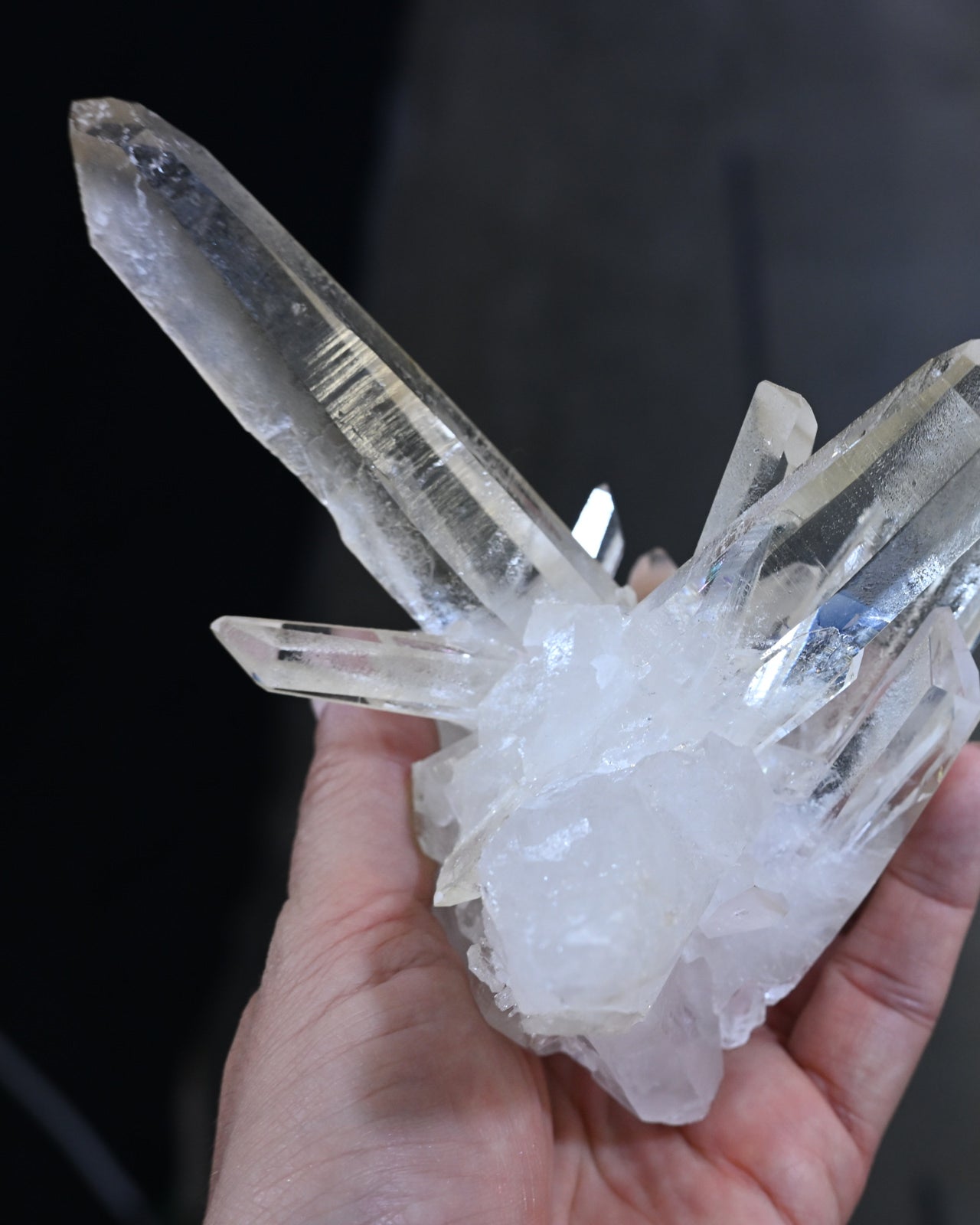 Lemurian Quartz Cluster