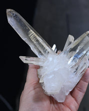 Lemurian Quartz Cluster