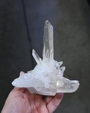 Lemurian Quartz Cluster