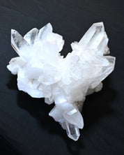 XXL Lemurian Statement Cluster 33lbs