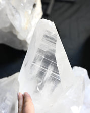 21lb XXL Lemurian Quartz Cluster